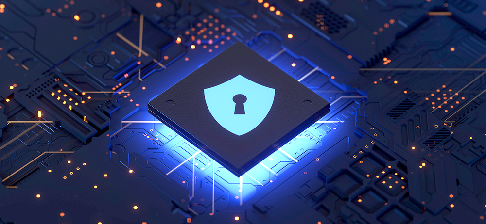 DataPrivacy vs DataSecurity