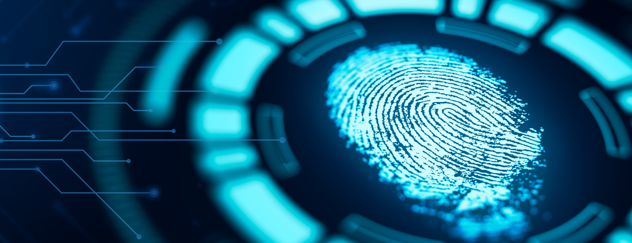 What is Digital Forensics and how can it be used in Information Security?